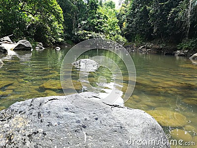 Undiscovered Green fresh river Stock Photo