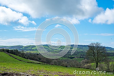 Undulating Countryside of Somerset Stock Photo