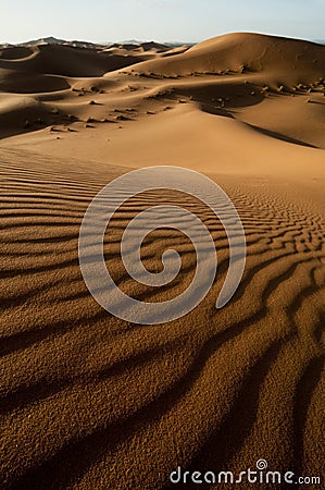 Undulating sand dunes in sahara desert Stock Photo