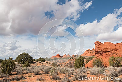 Undulating sandstone fromations of South Coyote Buttes Stock Photo