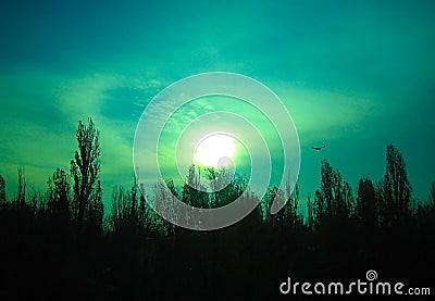 The unearthly green sky Stock Photo