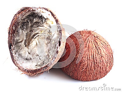 Uneatable decomposed broken coconut fruit Stock Photo