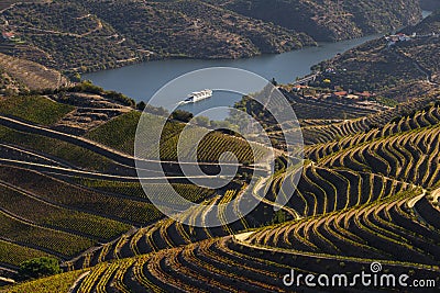 UNESCO World Heritage, the beautiful endless lines of Douro Valley Vineyards. Stock Photo