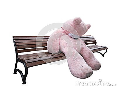 Unhappy plush giant bear on wooden bench isolated on white Stock Photo