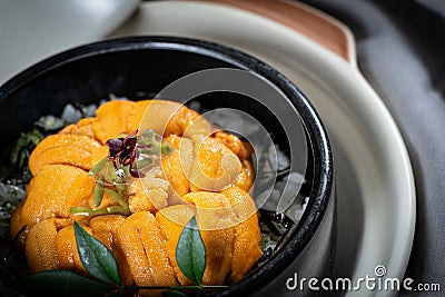 Uni Don on the table in the Japanese restaurant Stock Photo