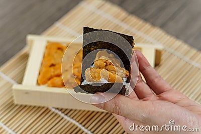 Uni Japanese sea urchin with rice and seaweed in hand Stock Photo