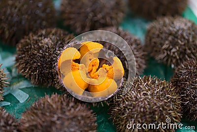 Uni Urchin Sashimi fresh seafood Stock Photo