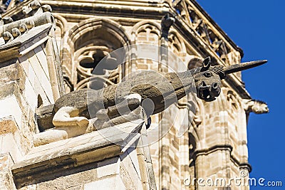 unicorn Gargoyle, Plaza del Rey. Gothic Quarter. Barcelona. Spain Stock Photo