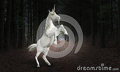 Unicorn Horse, Nature, Wildlife, Forest Stock Photo