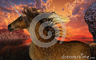 Unicorn Sunset Stock Photo