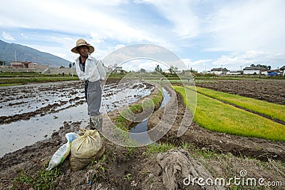 Unidentified Chinese farmers Editorial Stock Photo