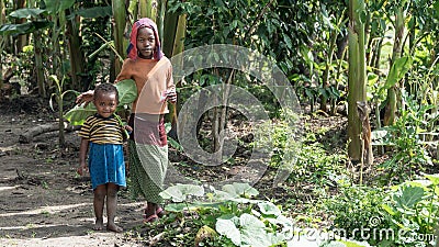 Unidentified Ethiopian girls walking in their village Editorial Stock Photo
