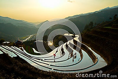 An unidentified man harrowing the fields at sunset. Editorial Stock Photo