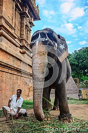 An unidentified man sits next to an elephant. Editorial Stock Photo