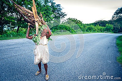 Unidentified older woman carying wooden branches on road, near Paraiso, Dominican Republic Editorial Stock Photo