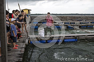 Unidentified visitors enjoying the fish feeding at offshore ocean open water fish farm at around Pulau Ketam; Malaysia Editorial Stock Photo