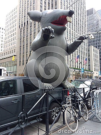 Union Rat, NYC, NY, USA Editorial Stock Photo