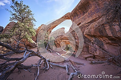Beautiful double Arch with some Dry Wood on sunny day Stock Photo