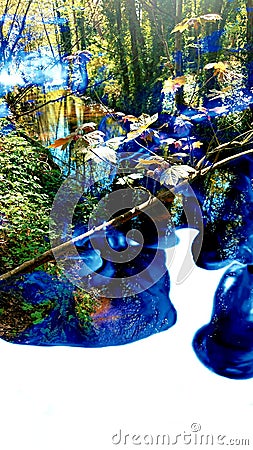 A Unique Blue Forest River Abstract Landscape White Paper Stock Photo