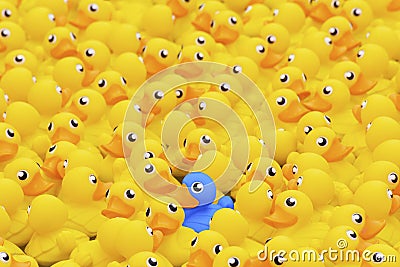 Unique blue toy duck Stock Photo