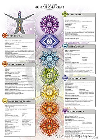 Powerful 7 Chakra - Infographic poster wallpaper including detailed description, characteristics and features Stock Photo