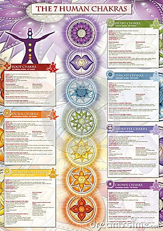 Powerful 7 Chakra - Infographic poster/wallpaper including detailed description, characteristics and features Stock Photo