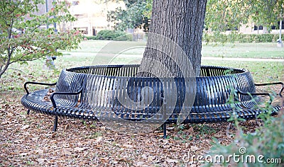 Unique City Park Bench Stock Photo