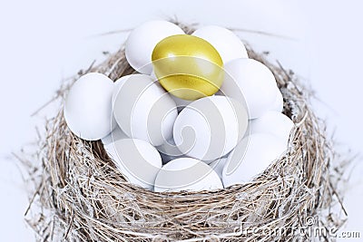 Unique gold egg investment Stock Photo