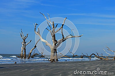 Unique Ocean Stock Photo