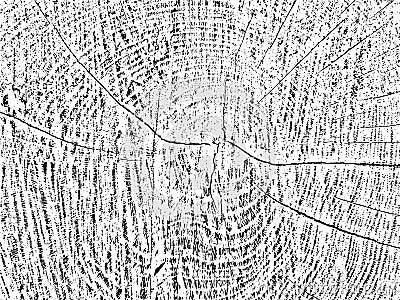 Unique, organic grunge texture of a tree cross-section with cracks and concentric circles Vector Illustration