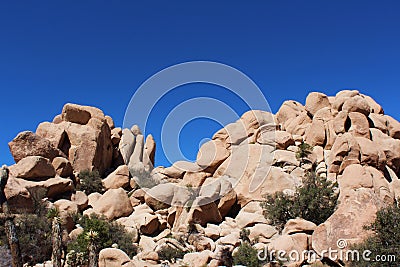 Unique rock formation with mesquite and palms trees growing in the rocks on the Hidden Valley Picnic Area Trail in Joshua Tree Nat Stock Photo