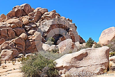 Unique rock formation with mesquite trees and scrub brush growing near the rocks on the Hidden Valley Picnic Area Trail Stock Photo