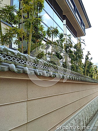 Unique wall with bamboo trees Stock Photo