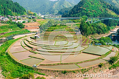Terraced rice fields in Japan Stock Photo
