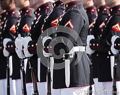 United States Marine Corps Stock Photo