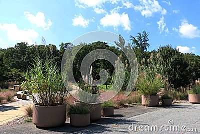 United States National Arboretum Editorial Stock Photo