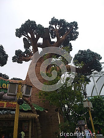 Baobab tree. Universal Studios, Sentosa, Singapore Editorial Stock Photo