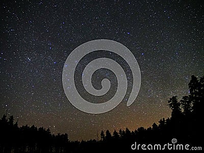 Universe stars and night forest atmosphere Stock Photo