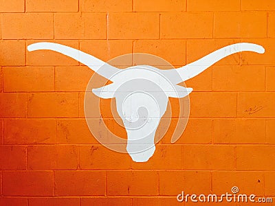 University of Texas Longhorn in Burnt Orange Stock Photo