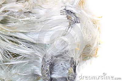 Unknown asbestos mineral Stock Photo