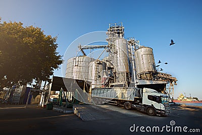 Unloading grain truck at elevator on elevating hydraulic platform unloader. Grain crops transshipment at big sea Stock Photo