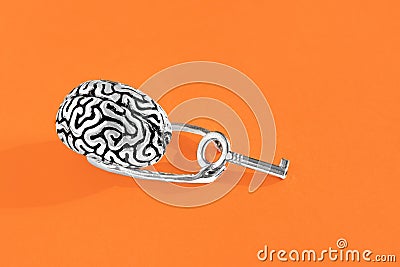Unlocking Potential: Human Brain Holding a Key Stock Photo
