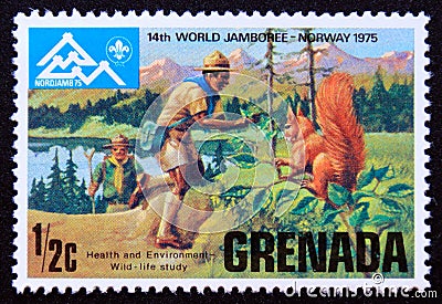 Unused postage stamp Grenada 1975, Wildlife study Editorial Stock Photo