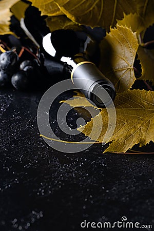Unopened red wine bottle, vine twig, and grapes Stock Photo
