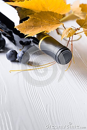 Unopened red wine bottle, vine twig, and ripe grapes Stock Photo
