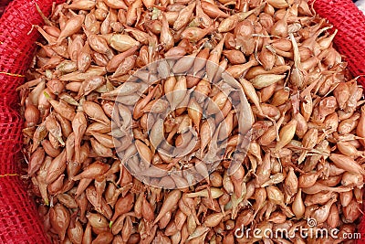 Unpackaged shallot bulbs sold in cloth bags at seed shops, shallot seeds for planting in the garden Stock Photo