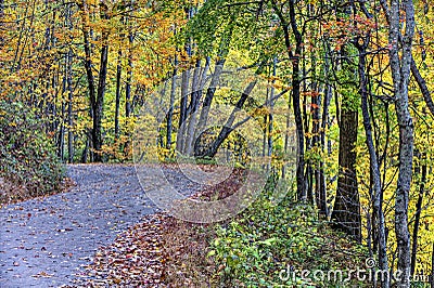 Unpaved Fall road with colorful trees Stock Photo