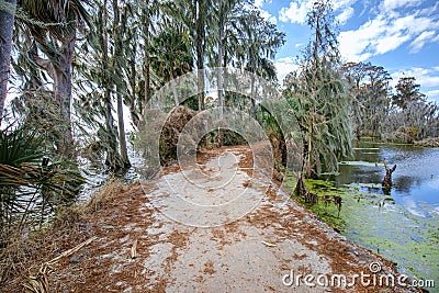 Unpaved Nature Trail By Lake Hancock At Circle B Bar Reserve Stock Photo