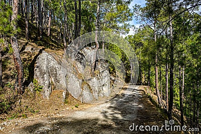 Unpaved road in the forest going nowhere in the mountains Stock Photo