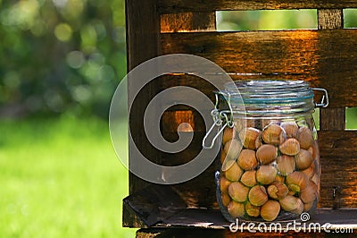 Unpeeled Hazelnuts In A Glass Jar Stock Photo